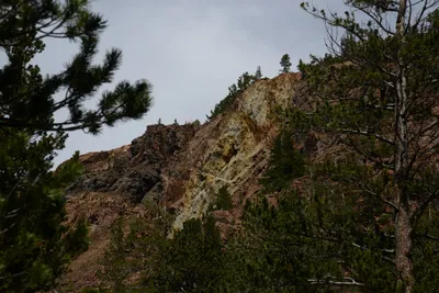 DSC_3231 (Large).JPG